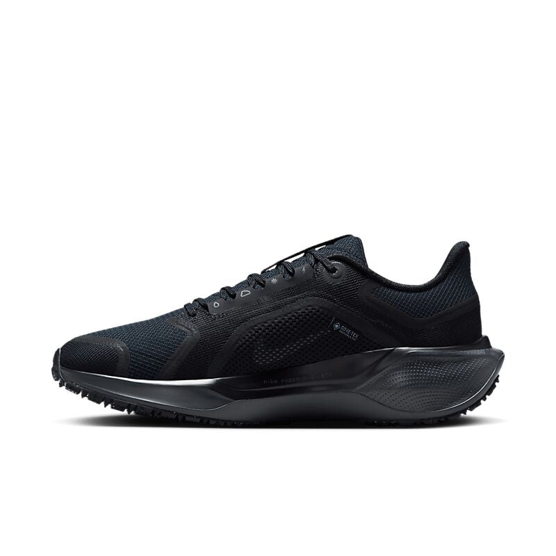NIKE W Pegasus 41 Gore-Tex på