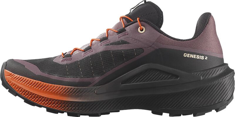 SALOMON W GENESIS 2 på
