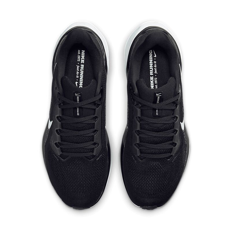 NIKE W Pegasus 41 på