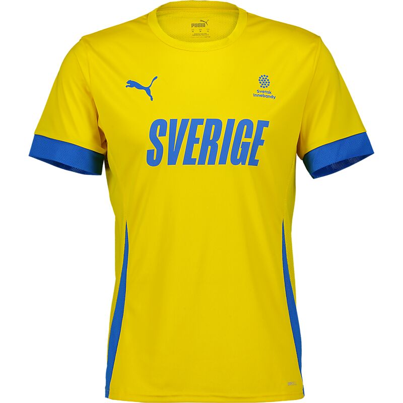 PUMA Sibf Replica Tee Jr på