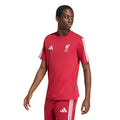 ADIDAS LFC DNA TEE på