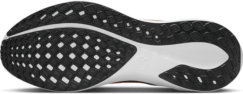 NIKE M PEGASUS 41 på