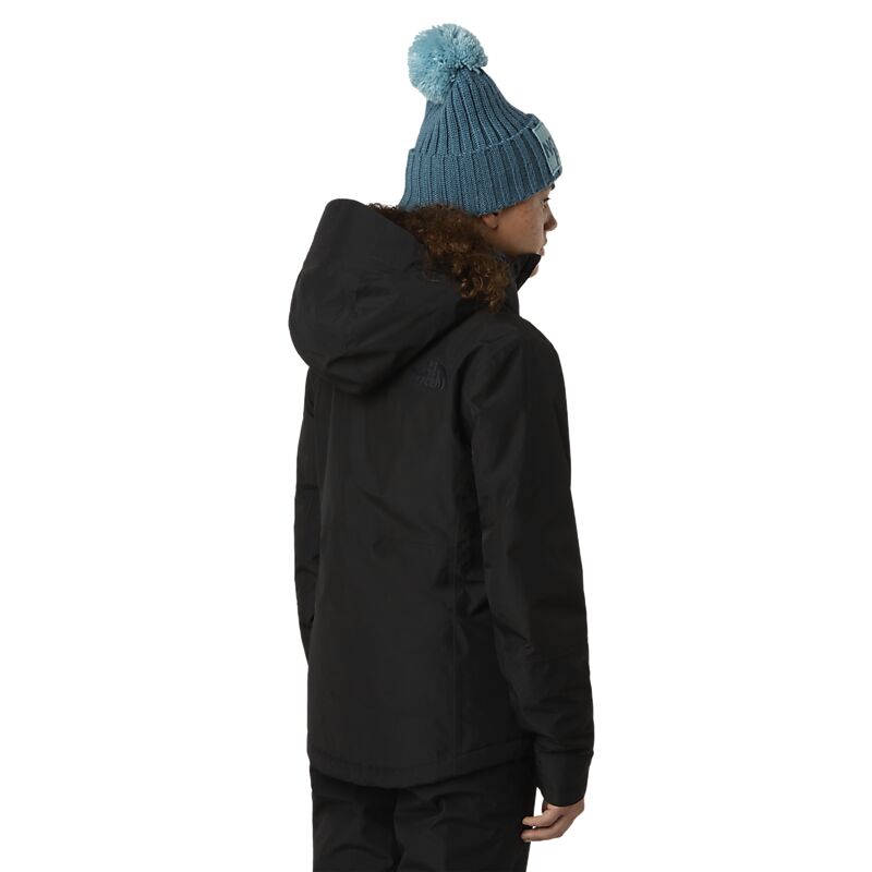 THE NORTH FACE W Descendit Jacket på