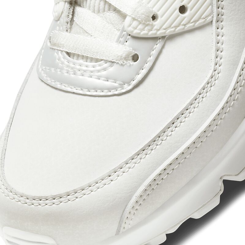 NIKE WMNS NIKE AIR MAX 90 på