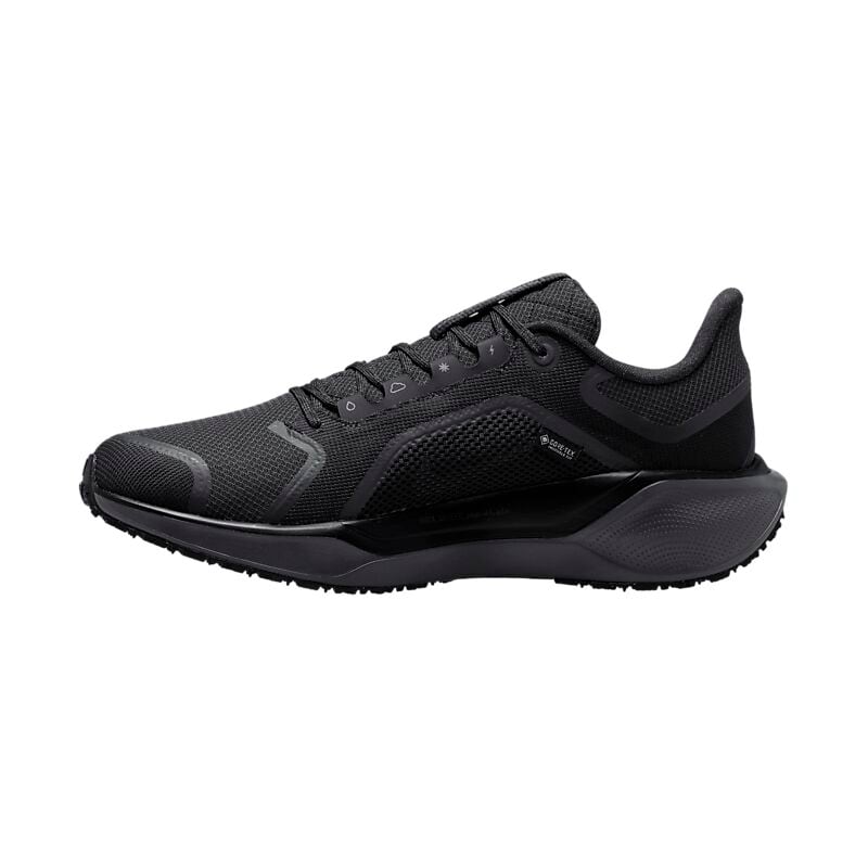 NIKE M Pegasus 41 Gore-Tex på