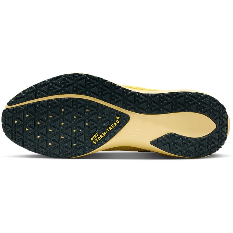 NIKE M Pegasus 41 Gore-Tex på